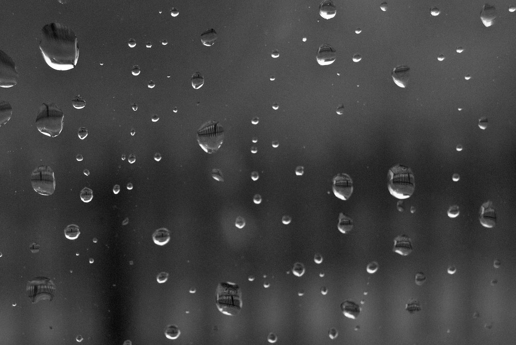 雨の日を味方につける、おうち時間の楽しみ方