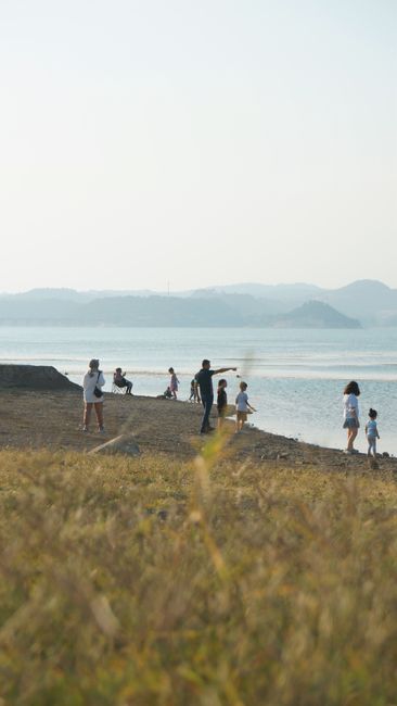 朝市・青空マルシェをのぞいてみる、週末のちょっとした楽しみ方